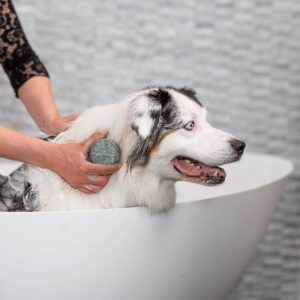 Honden Shampoo Bar 2