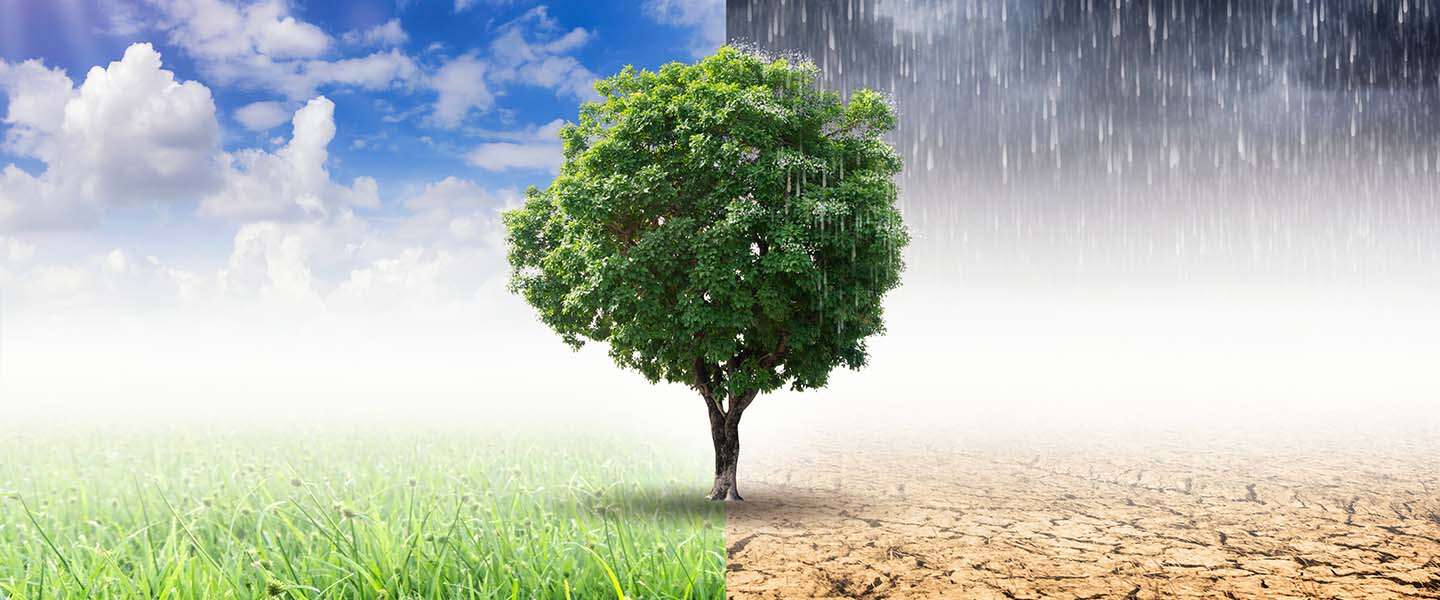 Duurzaamheid What's in a name | Dagelijks Duurzaam